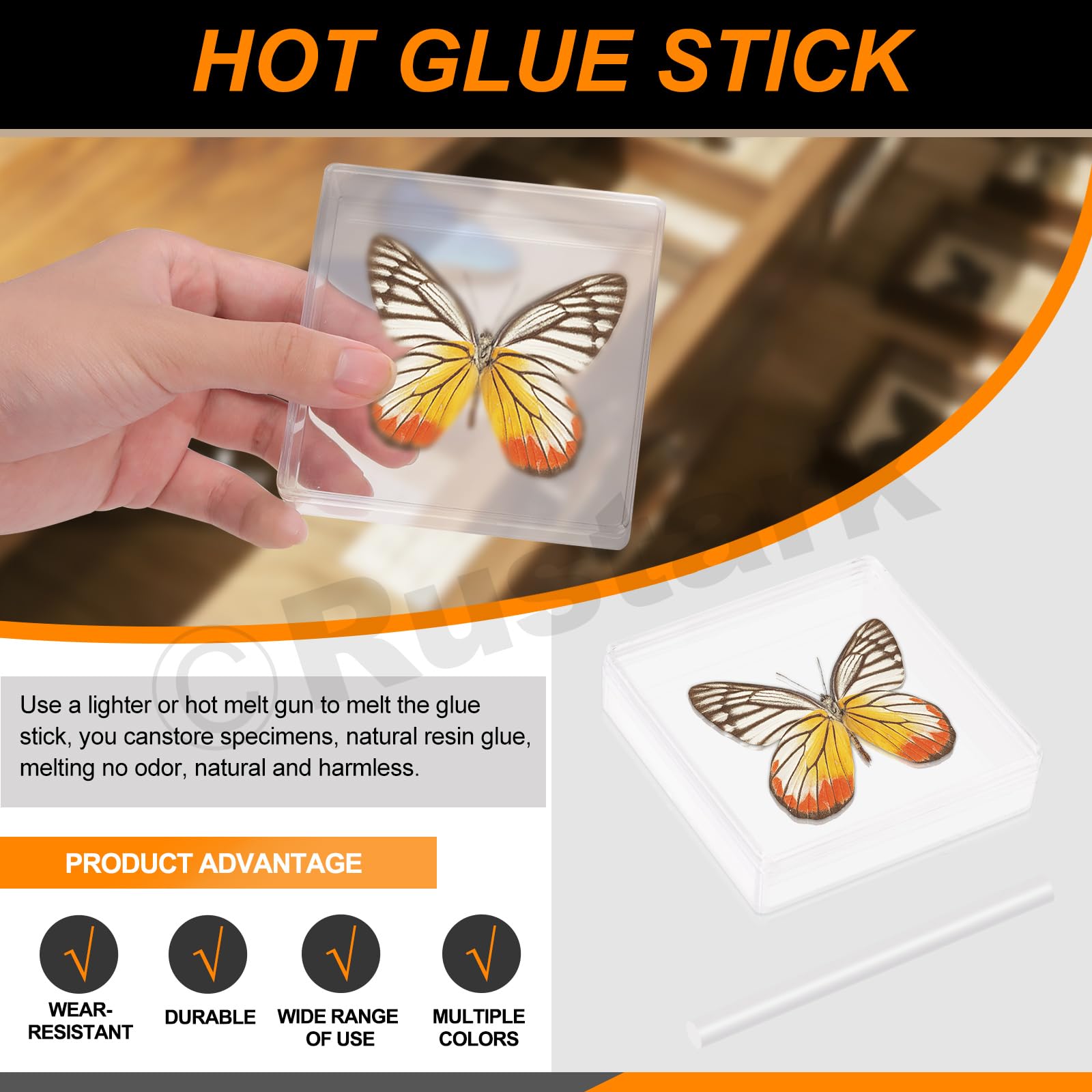 Amazon.co.jp: Rustark 15個 昆虫標本ツールキット 昆虫ピン付き昆虫